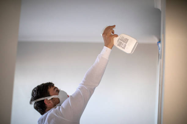 Best Mold Removal and Inspection  in Springdale, MD