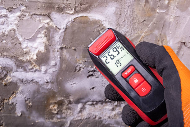 Best Mold Remediation  in Springdale, MD