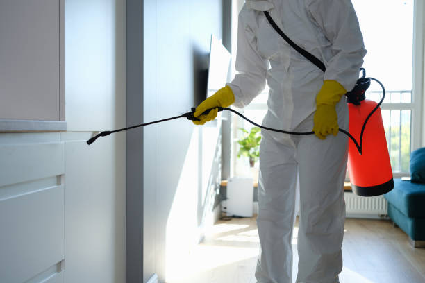 Best Residential Mold Removal  in Springdale, MD