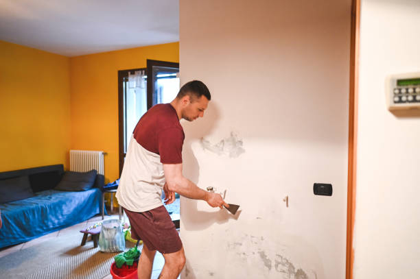 Professional Mold Removal in Springdale, MD